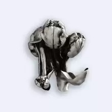 Крючок Art&Max TULIP AM-0822-T, серебро